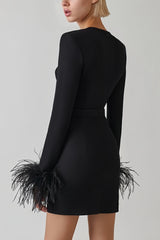 Black mini dress with feather details and long sleeves