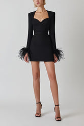 Black mini dress with feather details and long sleeves